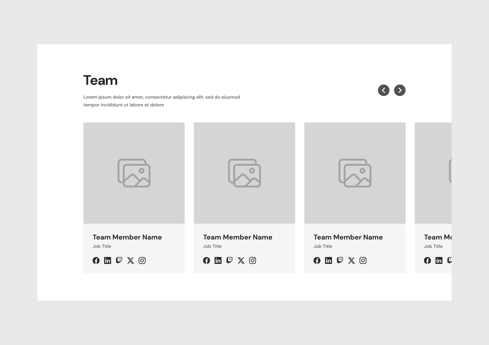 CopySection